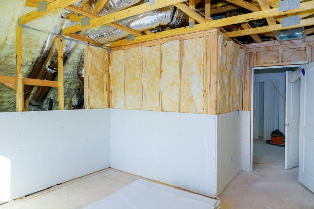 Best Professional Insulation Contractor  in Champaign, IL