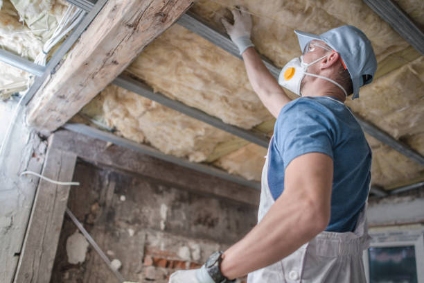 Best Insulation Replacement Services  in Champaign, IL