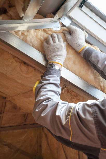 Best Insulation Inspection Services  in Champaign, IL