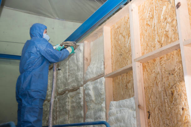 Best Affordable Insulation Services  in Champaign, IL