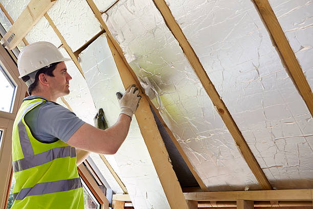 Best Best Insulation Companies  in Champaign, IL